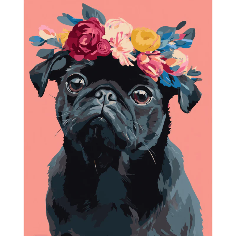 Black Pug Portrait | Paint by Number