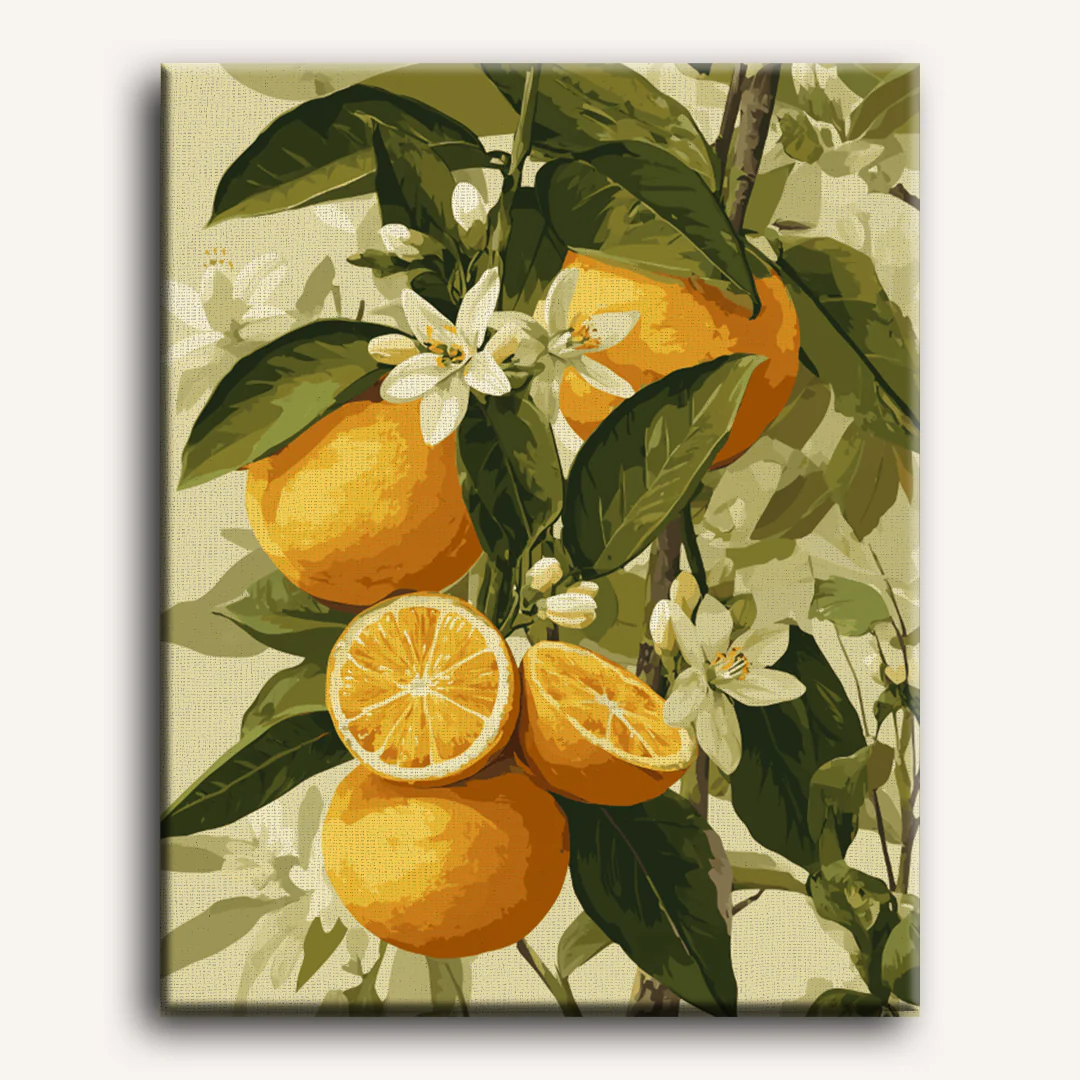 Blooming citrus fruits | Paint by Number - Image 2