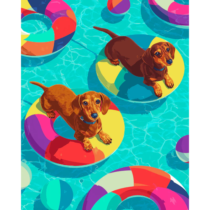 Floating dachshunds | Paint by Number