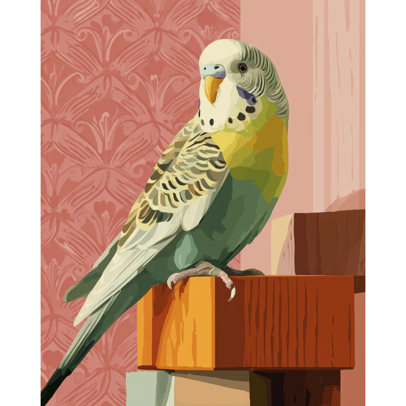 Green Budgie | Paint by Number