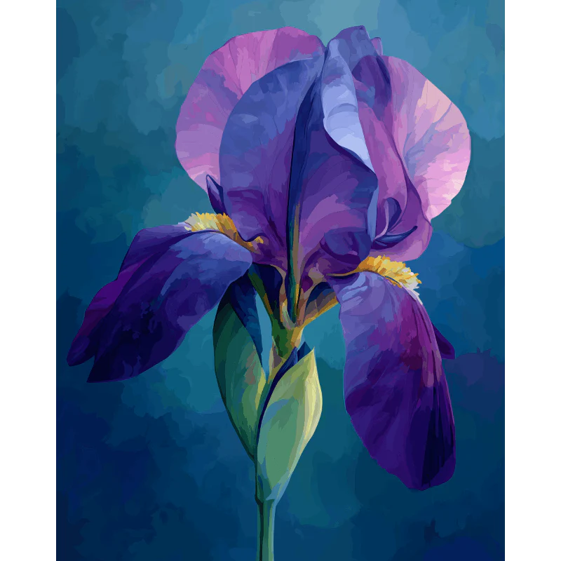 Velvet Iris | Paint by Number